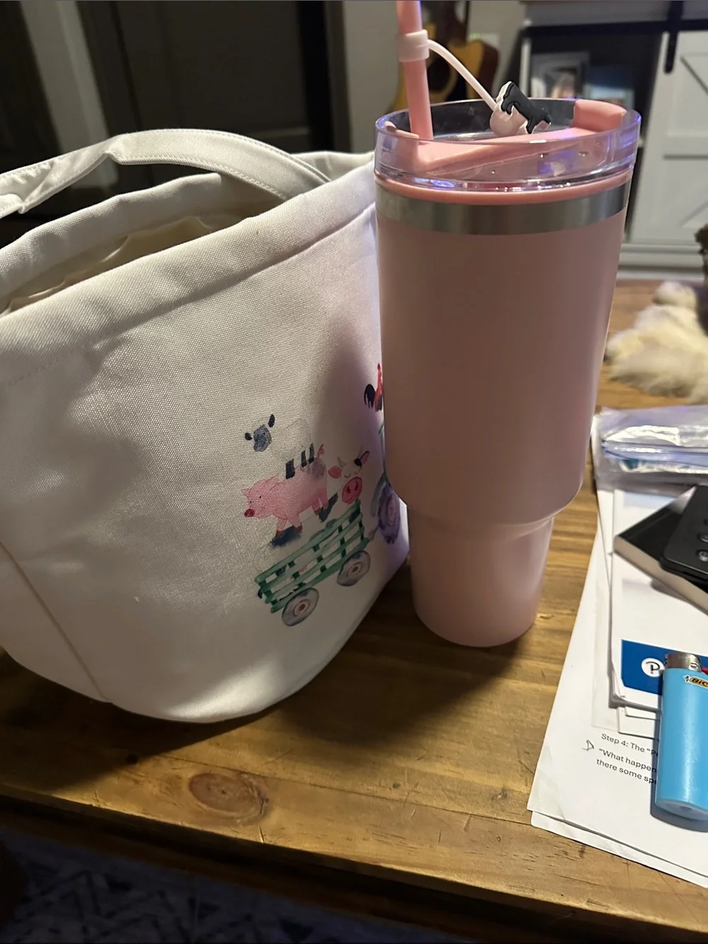 Storage bin/ Tote/ Easter Basket